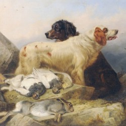 Hunting dogs and their hunt